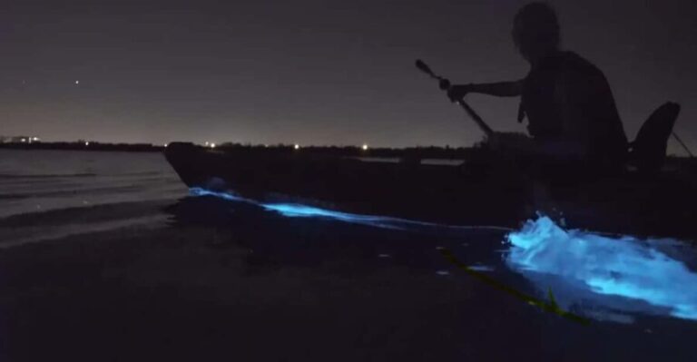 Cocoa Beach/Merritt Island:Bioluminescent kayak tour - Who Will Enjoy This Tour?