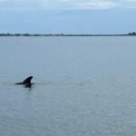 Cocoa Beach: Private Pontoon Sunset Cruise - The Final Verdict