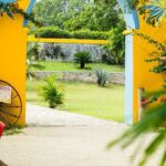 Colonial Valladolid and Cenote Swimming Private Tour from Cancun - Who Is This Tour Best For?