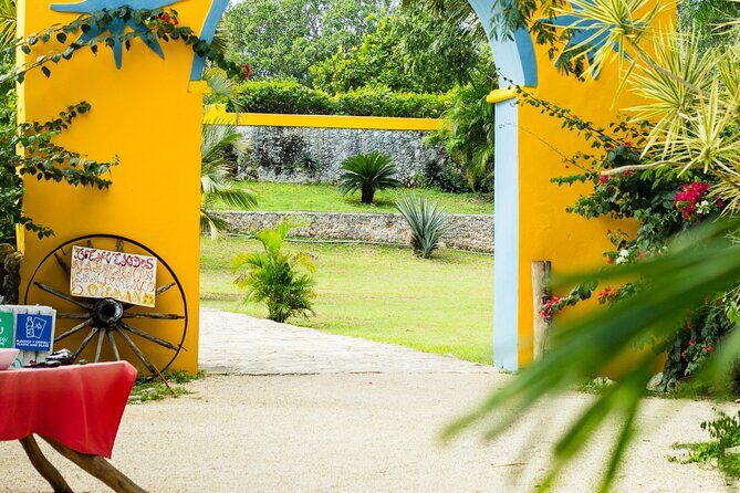 Colonial Valladolid and Cenote Swimming Private Tour from Cancun - Who Is This Tour Best For?