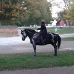 Colonial Williamsburg Ghost Stories and Walking Tour - Final Thoughts: Is It Worth It?