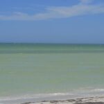 Coloradas Bioexperiences - Who Should Consider This Tour?