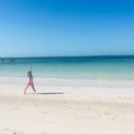 Coloradas, Ria Lagartos Boat Trip & One Natural Beach from Merida - What Travelers Are Saying (Based on Reviews)