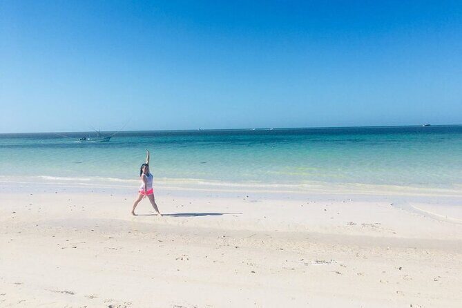 Coloradas, Ria Lagartos Boat Trip & One Natural Beach from Merida - What Travelers Are Saying (Based on Reviews)