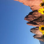Colorado Springs: Garden of the Gods & Historic Town Tour - The Value of the Experience