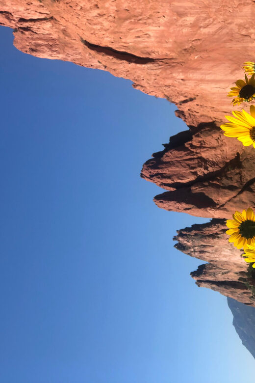 Colorado Springs: Garden of the Gods & Historic Town Tour - The Value of the Experience