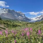 Columbia Icefield: Guided Glacier Hike - The Experience of Walking on the Glacier