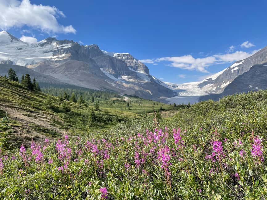 Columbia Icefield: Guided Glacier Hike - The Experience of Walking on the Glacier