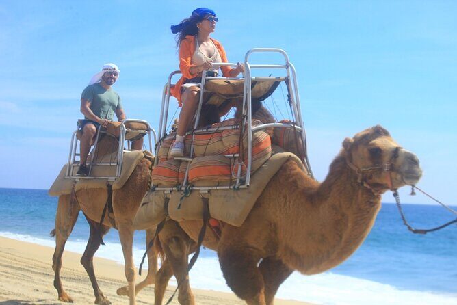 Combo Camelback Safari and ATV Ride Combo Tour Adventure - The Logistics and What You Can Expect