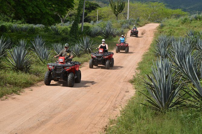 COMBO Zip lines and ATV´s at Hacienda Los Osuna - What’s Included and What You Should Know
