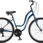 Comfort Bike for the Day - The Sum Up