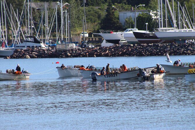 Conception Bay Tour Experience - Frequently Asked Questions