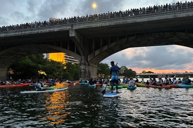 Congress Avenue Bat Bridge Paddleboard Tour - The Value of the Tour