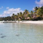 Contoy Island - Who Should Consider This Tour?