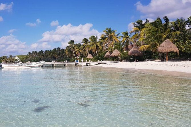 Contoy Island - Who Should Consider This Tour?