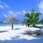Contoy Reef & Isla Mujeres Tour! From Cancun & Playa del Carmen - What to Expect from the Tour