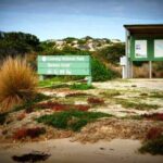 Coorong 3 & 1/2 Lunch Cruise and Tour - Who Will Love This Tour?