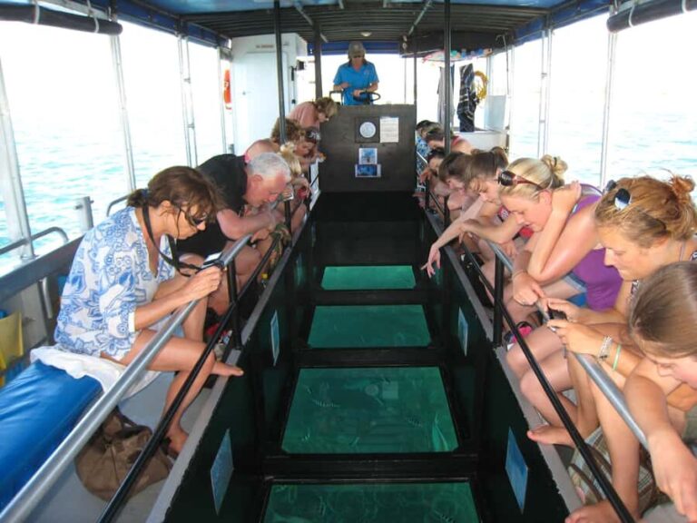 Coral Bay Glass-Bottom Boat Tour - Who Is This Tour Best For?