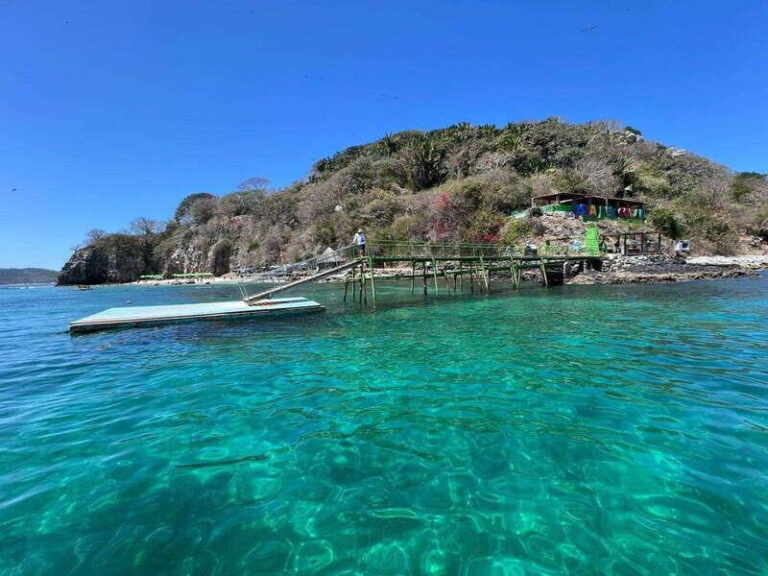 Coral island guayabitos beach and snorkeling - What the Tour Includes