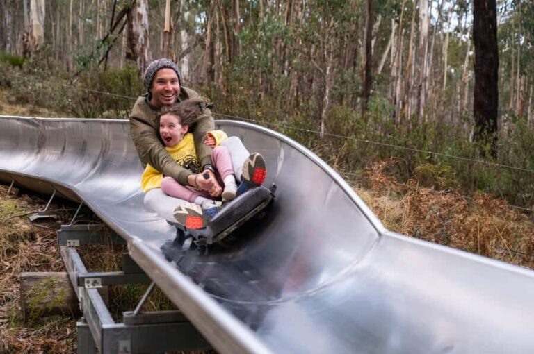 Corin Forest: Alpine Slide Ticket - The Practical Side: Pricing, Booking, and Logistics