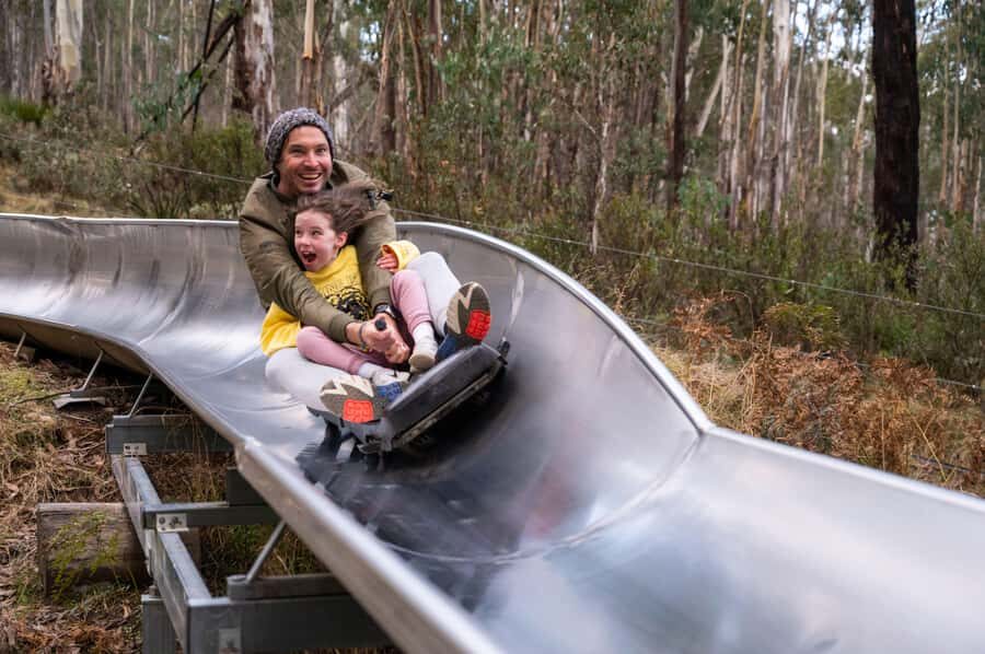 Corin Forest: Alpine Slide Ticket - The Practical Side: Pricing, Booking, and Logistics