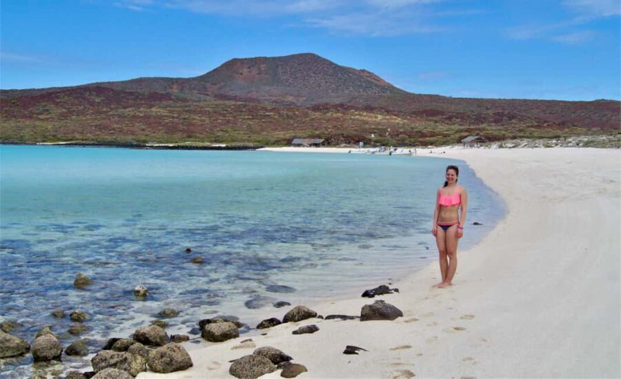 Coronado Island and Snorkel Tour - Who Should Consider This Tour