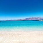 Coronado Island Visit and Sea Lions Swimming - The Complete Island Circuit