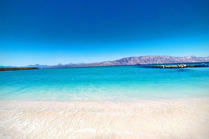 Coronado Island Visit and Sea Lions Swimming - The Complete Island Circuit