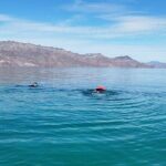 Coronados Island Tour in Loreto Bay - The Experience: Pros and Cons