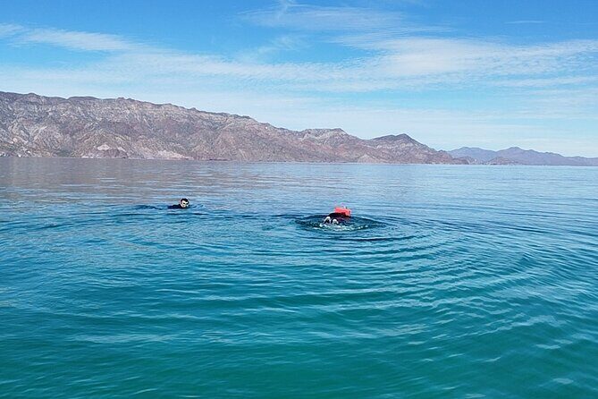 Coronados Island Tour in Loreto Bay - The Experience: Pros and Cons