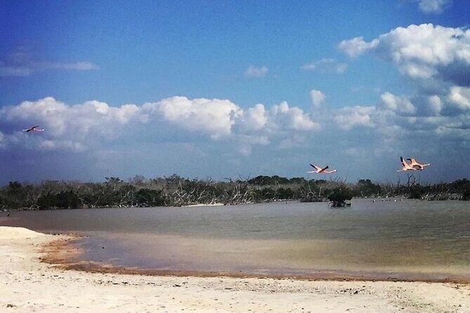 Costa Esmeralda 5 en 1 - The Itinerary: What’s On the Agenda?