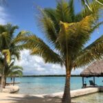 Costa Maya: Bacalar Seven Color Lagoon Kayak Adventure - Value For Money