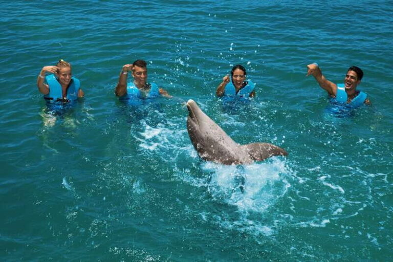 Costa Mujeres: Swim with Dolphins - What Does the Price Cover?