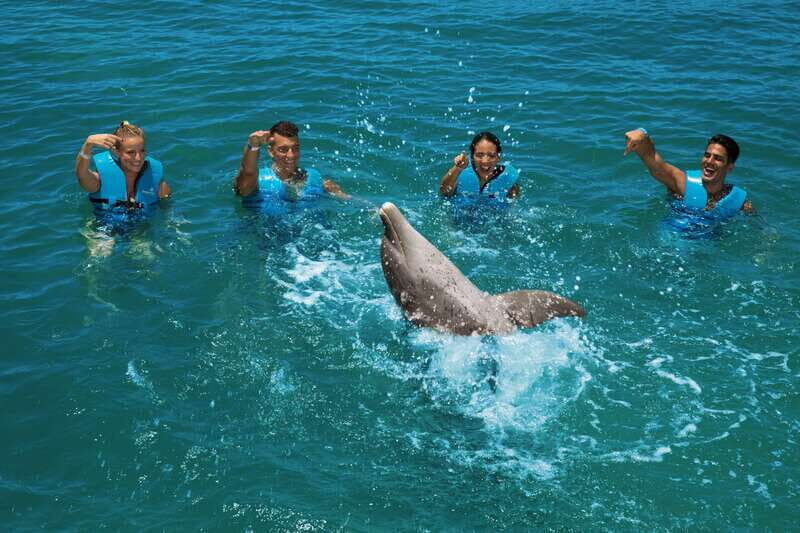 Costa Mujeres: Swim with Dolphins - What Does the Price Cover?