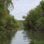 Covered Boat Swamp Tour with Transportation from New Orleans - What Travelers Say: Insights from Real Experiences
