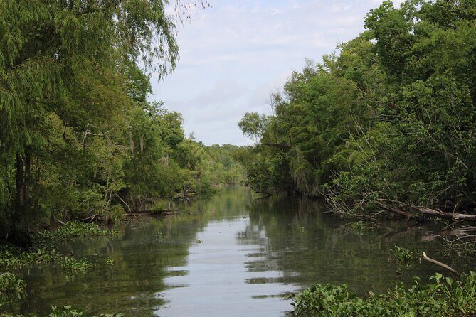 Covered Boat Swamp Tour with Transportation from New Orleans - What Travelers Say: Insights from Real Experiences