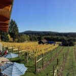 Cowichan Valley Premium Wine Tour - Who Is This Tour Best For?