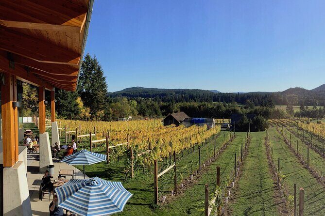 Cowichan Valley Premium Wine Tour - Who Is This Tour Best For?