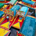 Coyoacan and Xochimilco Tour - Xochimilco and the Floating Gardens: A Colorful Escape