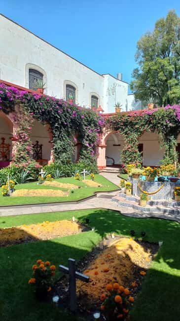 Coyoacan, history and life in a magical neighborhood - Who should consider this tour?