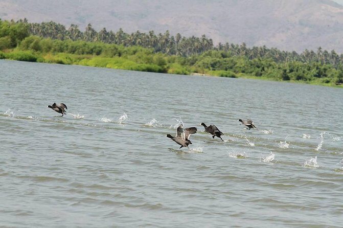 Coyuca Town Tour and Baby Turtle Release - FAQ