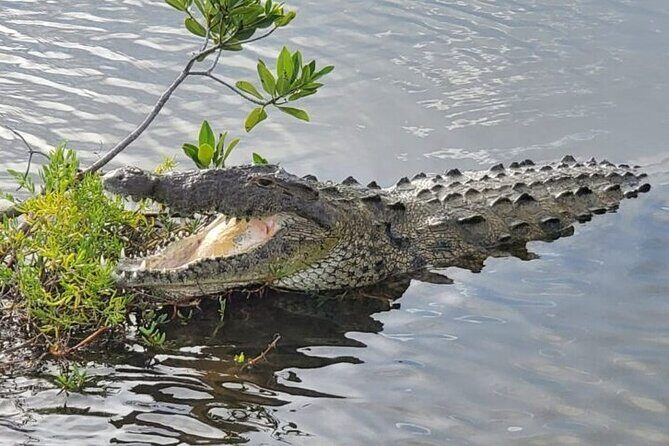 Cozumel 4x4 Adventure Punta Sur and Virgin Beach All Inclusive - Virgin Beach: A Slice of Paradise