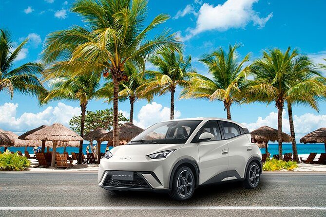 Cozumel Airport Car Roundtrip - Who Should Consider This Tour?