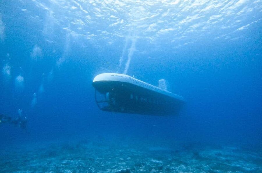 Cozumel: Atlantis Submarine Adventure - FAQ