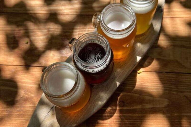 Cozumel: Beer, Mezcal, and Taco Experience - Final Thoughts