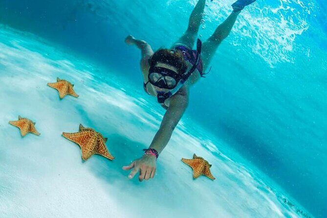 Cozumel by transparent boat and snorkeling in the sky with lunch. - Final thoughts: who is this tour best suited for?