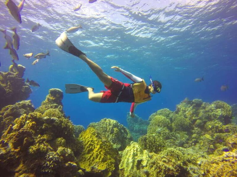 Cozumel: Catamaran, El Cielo Bay & Palancar Reef with Lunch - What Travelers Are Saying