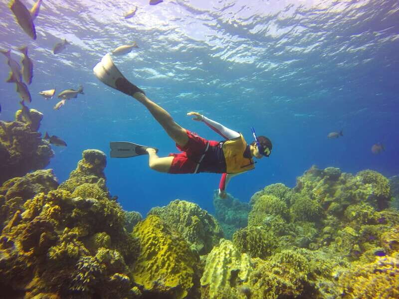 Cozumel: Catamaran, El Cielo Bay & Palancar Reef with Lunch - What Travelers Are Saying