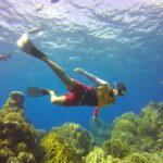 Cozumel Catamaran Snorkel Tour: El Cielo & Palancar with lunch - What’s Included and What’s Not