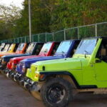 Cozumel: Classic Jeep or Buggy Island Tour to Punta Sur - What Travelers Are Saying
